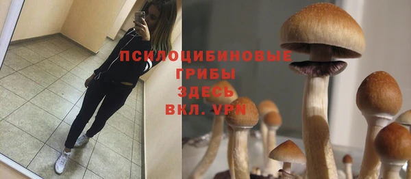 таблы Надым