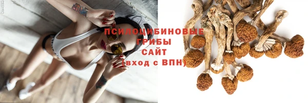 таблы Надым