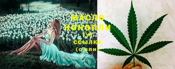 прущие грибы Михайлов