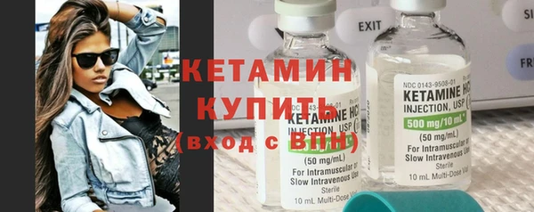 прущие грибы Михайлов