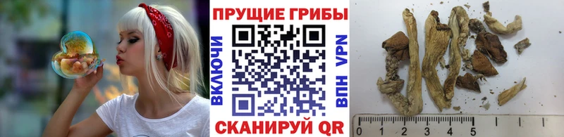 Галлюциногенные грибы MAGIC MUSHROOMS  Владивосток 