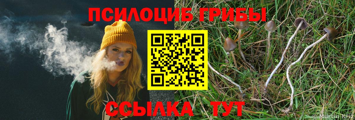 Галлюциногенные грибы MAGIC MUSHROOMS Владивосток