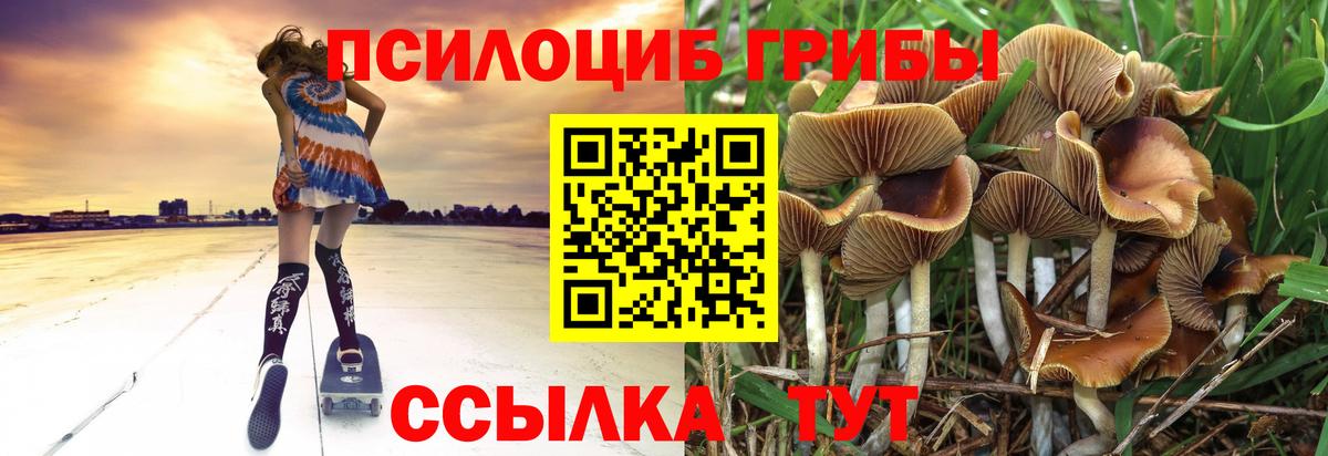 Галлюциногенные грибы мухоморы  Галлюциногенные грибы Psilocybine cubensis  Владивосток 
