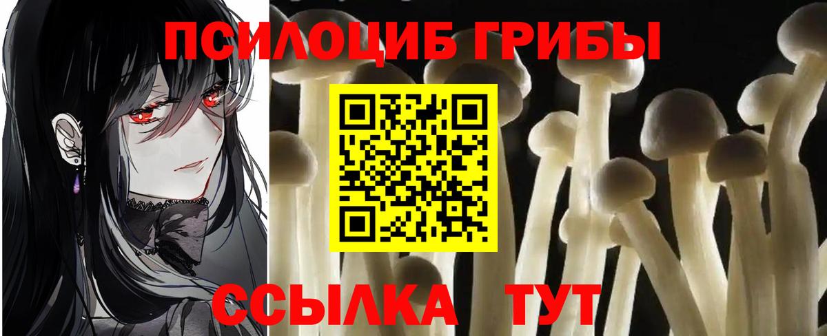 Галлюциногенные грибы мухоморы  Вход с VPN  Владивосток  Галлюциногенные грибы ЛСД 