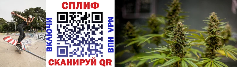 Конопля Amnesia Владивосток